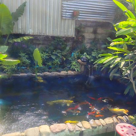 Vang Vieng Champa Hotel 外观 照片