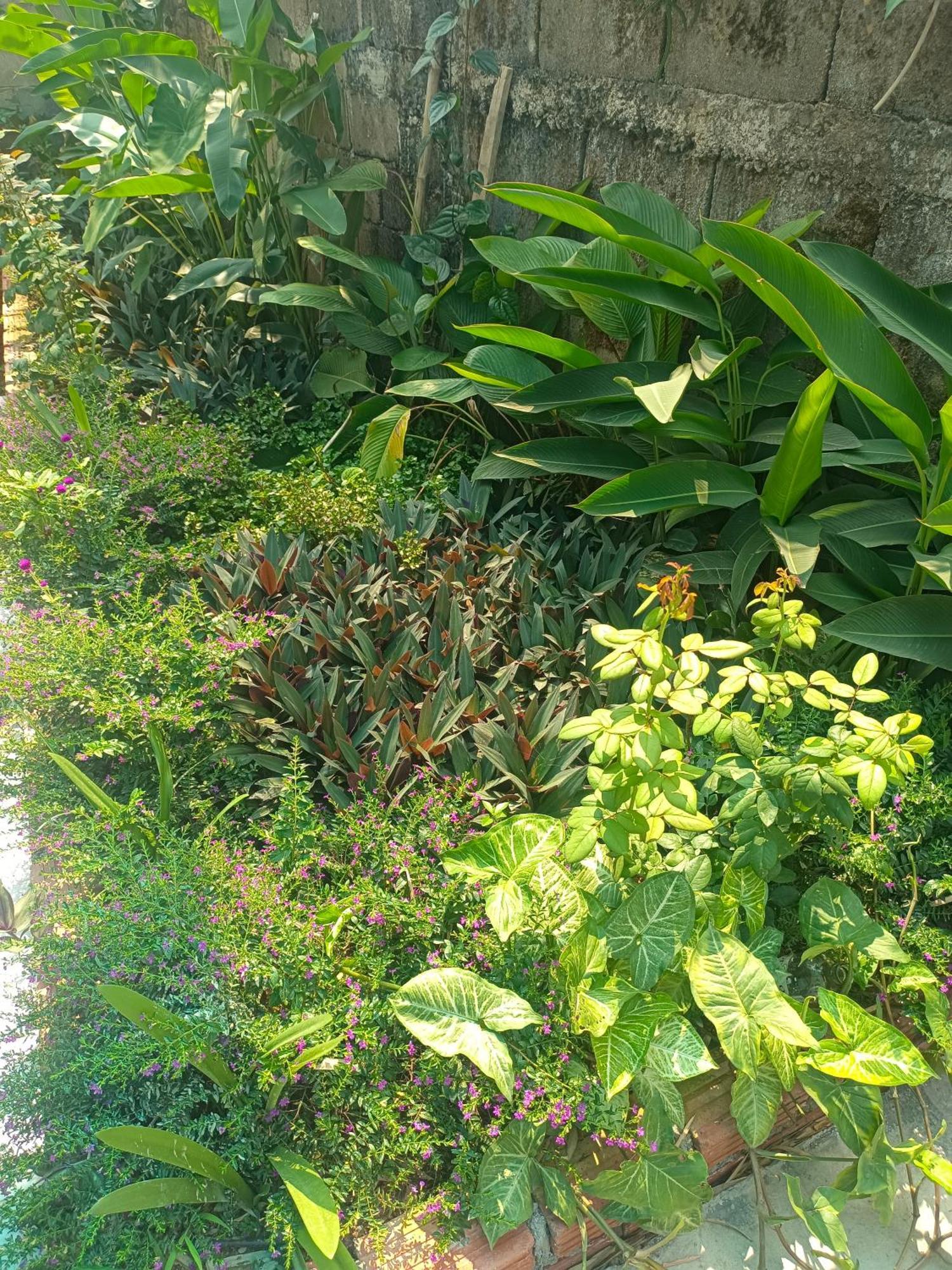 Vang Vieng Champa Hotel 外观 照片