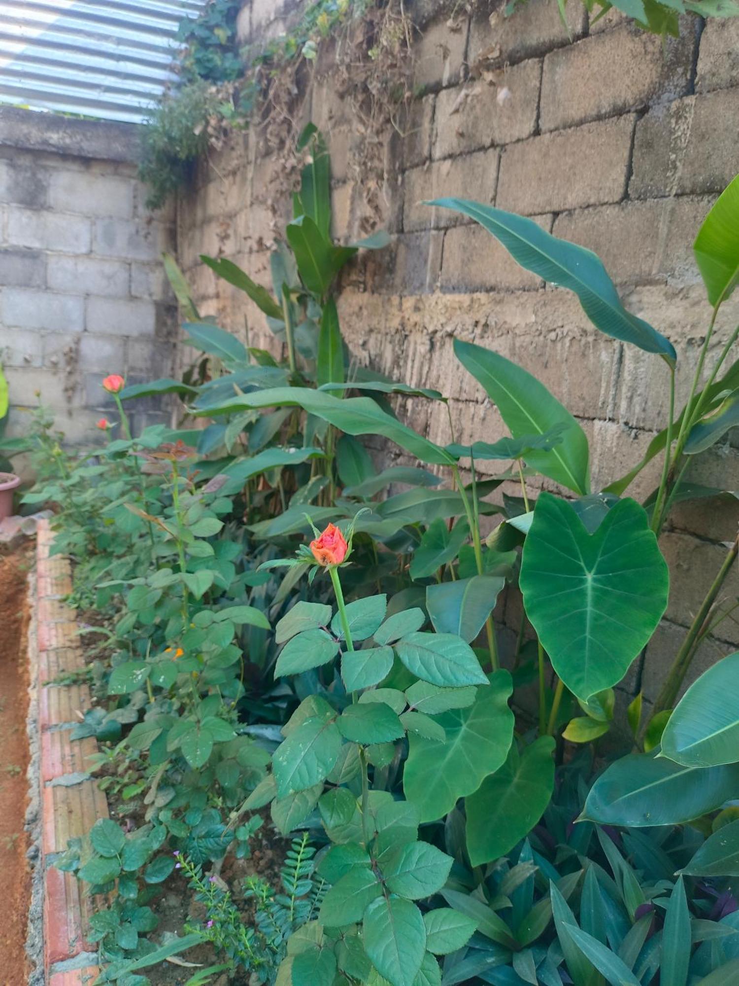 Vang Vieng Champa Hotel 外观 照片