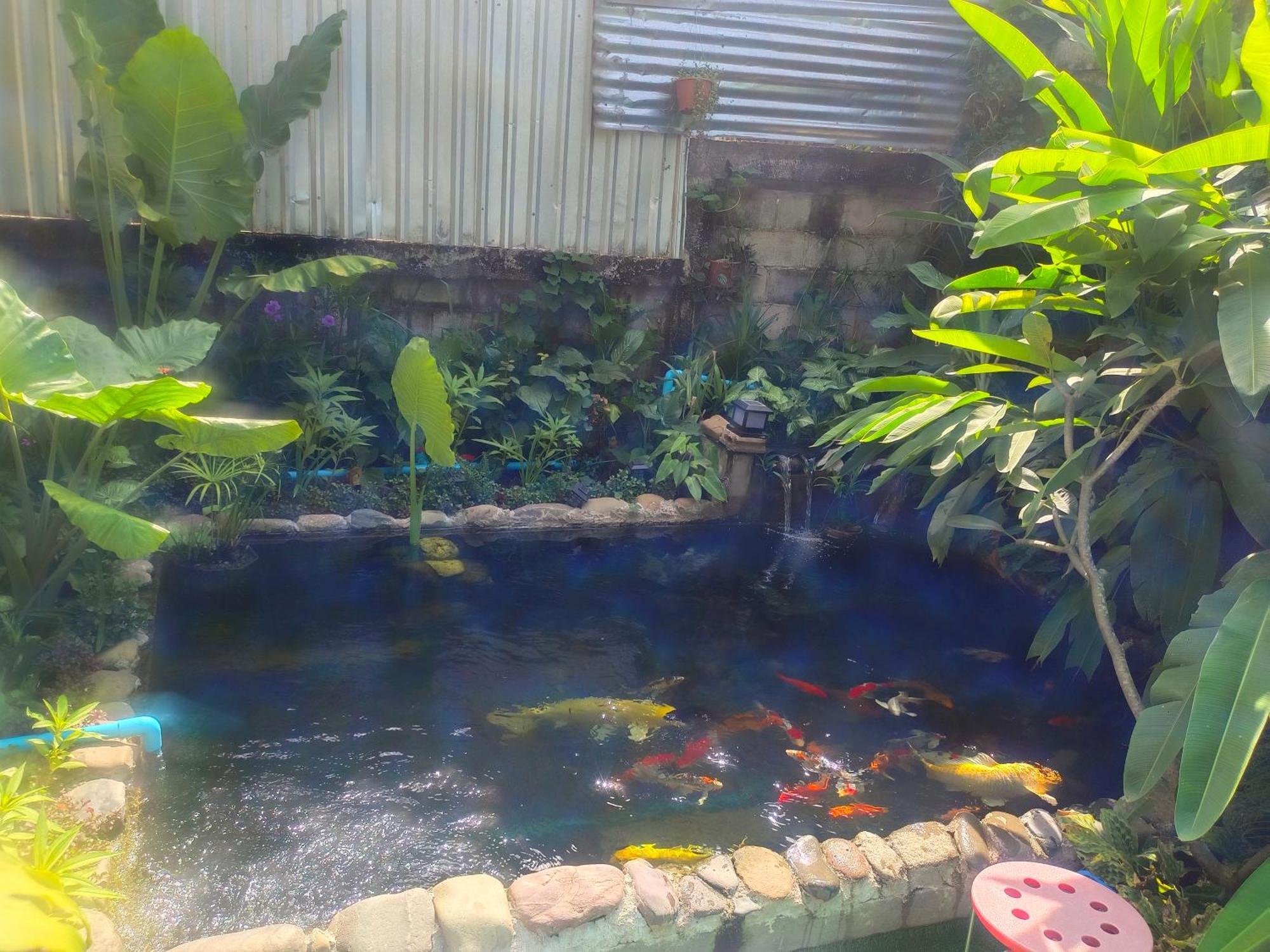 Vang Vieng Champa Hotel 外观 照片